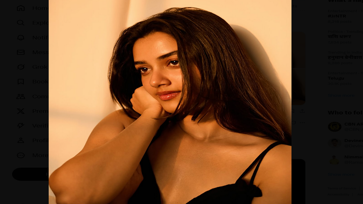 Bhagyasree Borse Telugu Film Career Update 2025